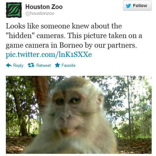 HoustonZoo-1