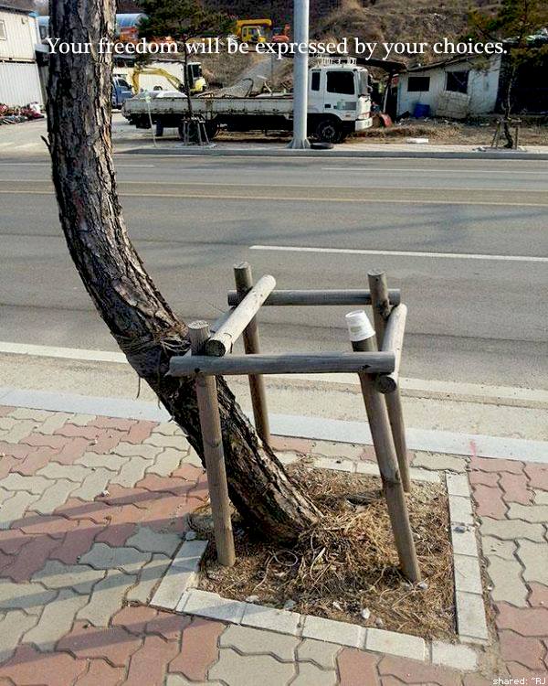 Your freedom will be expressed by your choices.