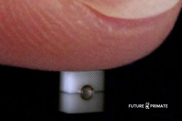 ‘Unfeelability’ Invisibility Cloak Hides Object from Being Felt