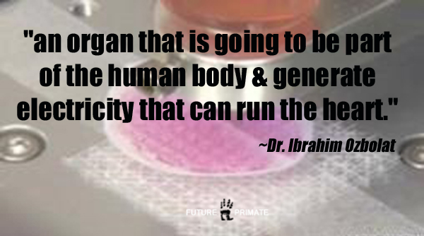 printedelectricorgans